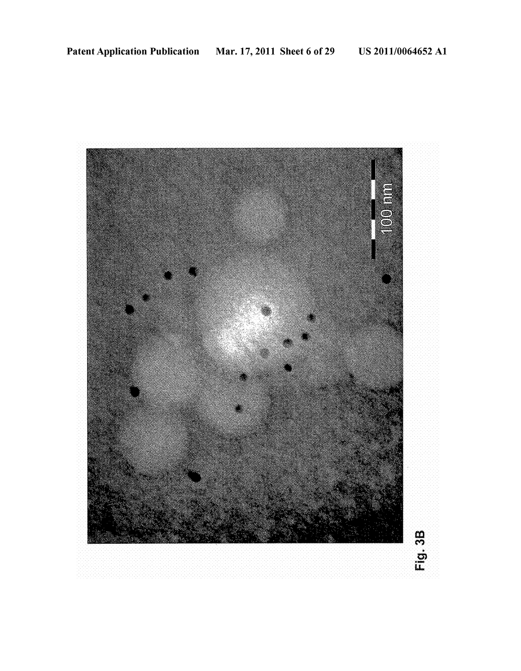 NANOPARTICLES FOR TARGETED DELIVERY OF ACTIVE AGENTS TO THE LUNG - diagram, schematic, and image 07