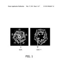 AZIDE MODIFIED PROTEINS diagram and image