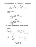 AZIDE MODIFIED PROTEINS diagram and image