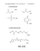 AZIDE MODIFIED PROTEINS diagram and image