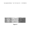 USE OF GALANIN IN A METHOD OF TREATING NEURODEGENERATIVE DISEASES OR CONDITIONS diagram and image