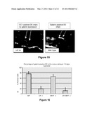 USE OF GALANIN IN A METHOD OF TREATING NEURODEGENERATIVE DISEASES OR CONDITIONS diagram and image