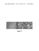 USE OF GALANIN IN A METHOD OF TREATING NEURODEGENERATIVE DISEASES OR CONDITIONS diagram and image