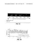 METHOD TO IDENTIFY A PATIENT WITH AN INCREASED LIKELIHOOD OF RESPONDING TO AN ANTI-CANCER AGENT diagram and image