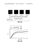 METHOD TO IDENTIFY A PATIENT WITH AN INCREASED LIKELIHOOD OF RESPONDING TO AN ANTI-CANCER AGENT diagram and image