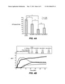 METHOD TO IDENTIFY A PATIENT WITH AN INCREASED LIKELIHOOD OF RESPONDING TO AN ANTI-CANCER AGENT diagram and image