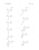 New L-Glutamic acid and L-Glutamine derivative (III), use thereof and method for obtaining them diagram and image