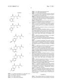 New L-Glutamic acid and L-Glutamine derivative (III), use thereof and method for obtaining them diagram and image