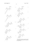 New L-Glutamic acid and L-Glutamine derivative (III), use thereof and method for obtaining them diagram and image