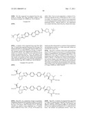 HEPATITIS C VIRUS INHIBITORS diagram and image