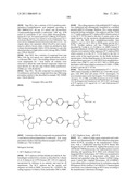 HEPATITIS C VIRUS INHIBITORS diagram and image