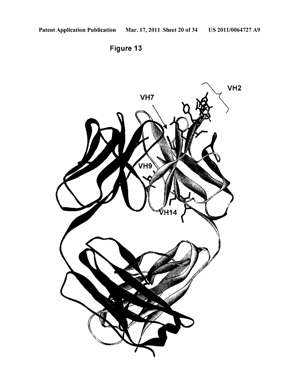 Immunoglobulin Variants Outside the Fc Region - diagram, schematic, and image 21