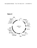 CA6 ANTIGEN-SPECIFIC CYTOTOXIC CONJUGATE AND METHODS OF USING THE SAME diagram and image