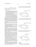 CA6 ANTIGEN-SPECIFIC CYTOTOXIC CONJUGATE AND METHODS OF USING THE SAME diagram and image