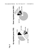 MEDICAMENT, COMPOSITIONS, AND SUBSTANCES FOR TREATING AND IDENTIFYING ADENOCARCINOMA OF THE LUNG diagram and image