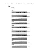 MEDICAMENT, COMPOSITIONS, AND SUBSTANCES FOR TREATING AND IDENTIFYING ADENOCARCINOMA OF THE LUNG diagram and image