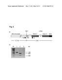 MEDICAMENT, COMPOSITIONS, AND SUBSTANCES FOR TREATING AND IDENTIFYING ADENOCARCINOMA OF THE LUNG diagram and image