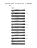 MEDICAMENT, COMPOSITIONS, AND SUBSTANCES FOR TREATING AND IDENTIFYING ADENOCARCINOMA OF THE LUNG diagram and image