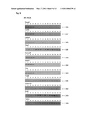 MEDICAMENT, COMPOSITIONS, AND SUBSTANCES FOR TREATING AND IDENTIFYING ADENOCARCINOMA OF THE LUNG diagram and image