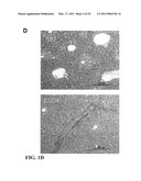 TREATMENT OF DRUG-RELATED SIDE EFFECT AND TISSUE DAMAGE BY TARGETING THE CD24-HMGB1-SIGLEC10 AXIS diagram and image