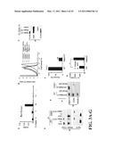 TREATMENT OF DRUG-RELATED SIDE EFFECT AND TISSUE DAMAGE BY TARGETING THE CD24-HMGB1-SIGLEC10 AXIS diagram and image