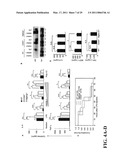 TREATMENT OF DRUG-RELATED SIDE EFFECT AND TISSUE DAMAGE BY TARGETING THE CD24-HMGB1-SIGLEC10 AXIS diagram and image