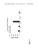 TREATMENT OF DRUG-RELATED SIDE EFFECT AND TISSUE DAMAGE BY TARGETING THE CD24-HMGB1-SIGLEC10 AXIS diagram and image