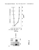 TREATMENT OF DRUG-RELATED SIDE EFFECT AND TISSUE DAMAGE BY TARGETING THE CD24-HMGB1-SIGLEC10 AXIS diagram and image