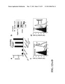 TREATMENT OF DRUG-RELATED SIDE EFFECT AND TISSUE DAMAGE BY TARGETING THE CD24-HMGB1-SIGLEC10 AXIS diagram and image