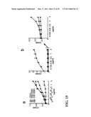 TREATMENT OF DRUG-RELATED SIDE EFFECT AND TISSUE DAMAGE BY TARGETING THE CD24-HMGB1-SIGLEC10 AXIS diagram and image