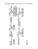 TREATMENT OF DRUG-RELATED SIDE EFFECT AND TISSUE DAMAGE BY TARGETING THE CD24-HMGB1-SIGLEC10 AXIS diagram and image