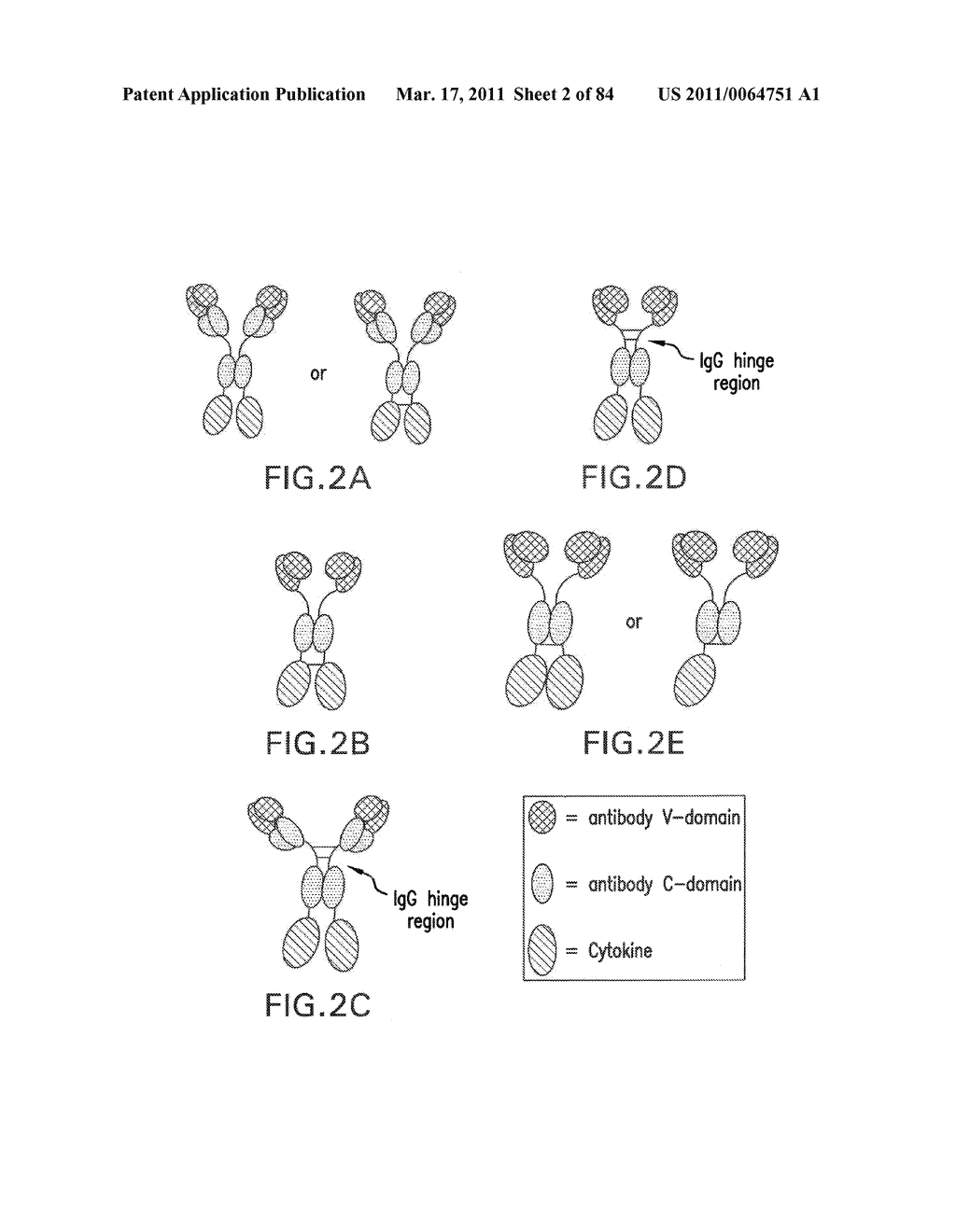 TARGETED IMMUNOCONJUGATES - diagram, schematic, and image 03