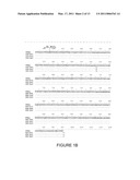 LENTIVIRAL VECTORS PSEUDOTYPED WITH A SINDBIS VIRUS ENVELOPE GLYCOPROTEIN diagram and image