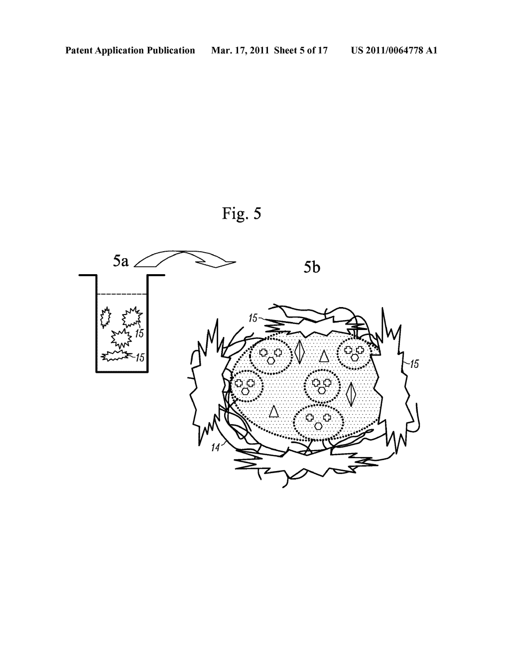 CONTINUOUS MULTI-MICROENCAPSULATION PROCESS FOR IMPROVING THE STABILITY AND STORAGE LIFE OF BIOLOGICALLY ACTIVE INGREDIENTS - diagram, schematic, and image 06