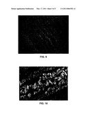 METHODS AND COMPOSITIONS FOR TISSUE REGENERATION diagram and image