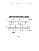 DOCOSAHEXANOIC ACID AS INHIBITOR OF H. PYLORI diagram and image