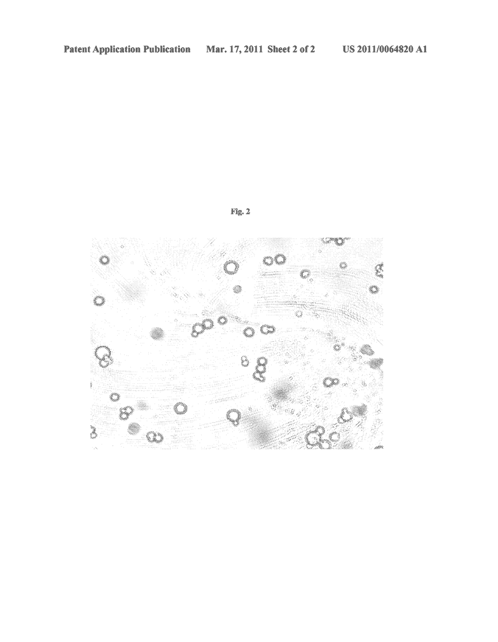 Pharmaceutical Compositions Comprising Phosphate-Binding Polymer - diagram, schematic, and image 03