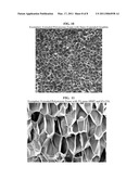 THERMOPLASTIC FOAMS AND METHOD OF FORMING THEM USING NANO-GRAPHITE diagram and image