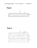 SCALE-LIKE GLASS AND COATED SCALE-LIKE GLASS diagram and image