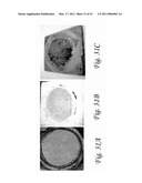 THERMAL SPRAY PROCESSES AND ALLOYS FOR USE IN SAME diagram and image