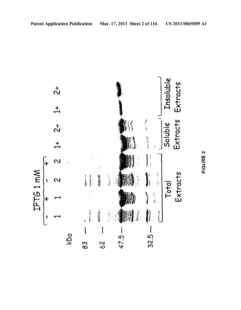 NOVEL STRAIN OF SARS-ASSOCIATED CORONAVIRUS AND APPLICATIONS THEREOF - diagram, schematic, and image 03