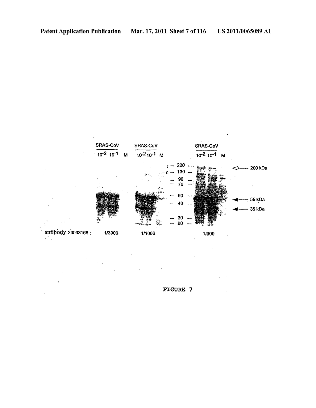 NOVEL STRAIN OF SARS-ASSOCIATED CORONAVIRUS AND APPLICATIONS THEREOF - diagram, schematic, and image 08