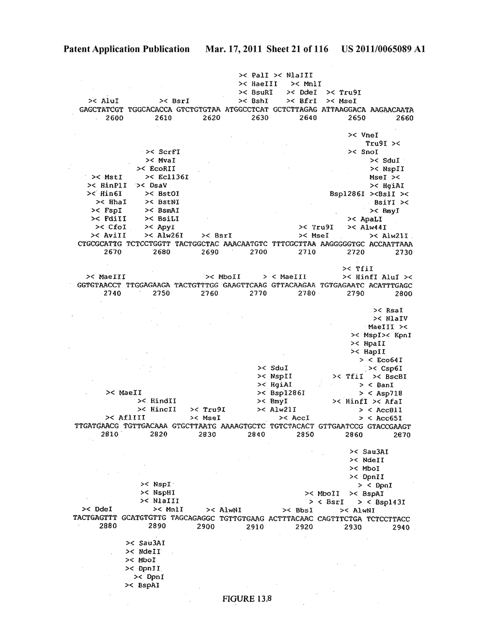 NOVEL STRAIN OF SARS-ASSOCIATED CORONAVIRUS AND APPLICATIONS THEREOF - diagram, schematic, and image 22