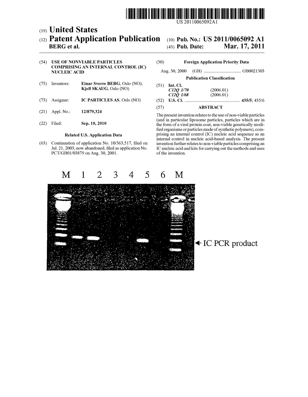 USE OF NONVIABLE PARTICLES COMPRISING AN INTERNAL CONTROL (IC) NUCLEIC ACID - diagram, schematic, and image 01