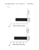 OSTEOARTHRITIS-SENSITIVE GENE diagram and image