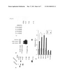 OSTEOARTHRITIS-SENSITIVE GENE diagram and image