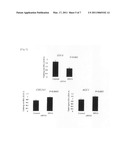 OSTEOARTHRITIS-SENSITIVE GENE diagram and image