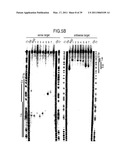 RNA INTERFERENCE MEDIATING SMALL RNA MOLECULES diagram and image