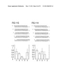 RNA INTERFERENCE MEDIATING SMALL RNA MOLECULES diagram and image