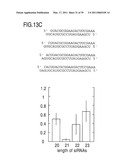 RNA INTERFERENCE MEDIATING SMALL RNA MOLECULES diagram and image